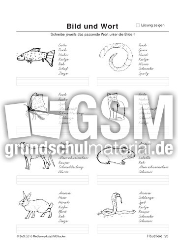 BuW Haustiere20.pdf
